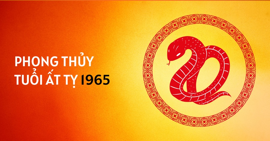 Tử vi tuổi Ất Tỵ 1965: Nam 1965 hợp hướng làm việc nào?