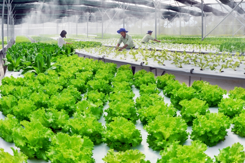 Làm giàu từ 30 triệu