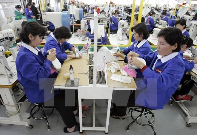 Thị trường việc làm Hàn Quốc tiếp tục phục hồi mạnh mẽ